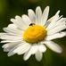 Della Powers - Facebook