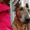 dellarobinson841 - @dellarobinson841 - TikTok