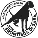 Boxer Della Frontiera Di Saba - @boxer_della_frontiera_di_saba - Instagram