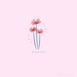 xiao 🎱 - @dellasabarina_08 - Instagram