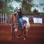 Della Spurlock - @performancehorses - Instagram
