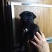 Della Summers - Facebook