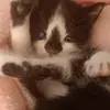 della.tyler_9711RaWr - @della.tyler_9711r - TikTok