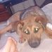Della Vance - Facebook