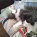 Della Warner - Facebook