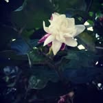 @dellawarner264137 - Instagram
