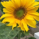Della Warren - @della.warren.33 - Instagram