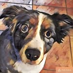 Della Waters King - @della.w.king - Instagram