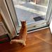 Della Watson - Facebook