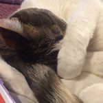 Della White - @della.white3475 - Instagram