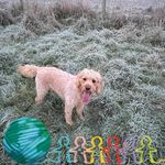 Della Wilkinson - @wilkinsondella - Instagram
