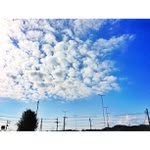 Hsiang Hua Wang - @dellawilliamson.die - Instagram