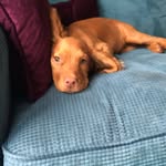 Della - @della_wolfe - Instagram