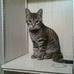 Della Wyatt - Facebook