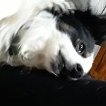 della young - @dellbell14 - Instagram