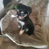 idelmacisneros - @idelmacisneros - TikTok