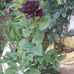Delma Martinez - Facebook