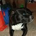 Deloris Fuller-Koch - Facebook