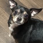 Dolores Cantrell - @mxiloco51 - Instagram