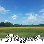 Delores Seay-Carter - @deloresseay3 - Instagram