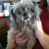 delorescarter11 - @delores.carter0 - TikTok