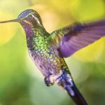 Delores collins - @delorescollins976 - Instagram