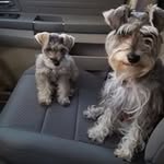 Delores Edwards - @delores.edwards.5095 - Instagram