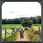 Delores Fields - @iceborect - Instagram
