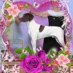 Delores Fields - @fields.delores - Instagram