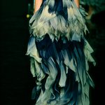 Delores Fleming - @baseptiafu - Instagram