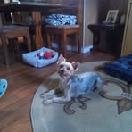 Dolores Frederick - Facebook