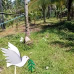 Frederick Delos Santos - Facebook