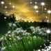 Delores Garner - Facebook