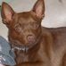 Delores Hansen - Facebook