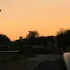 Dolores Lambert - @czb9rtvpok - TikTok