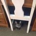 Delores Meadows - Facebook
