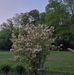 Delores Richards - Facebook