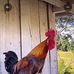 Delores Richardson - Facebook