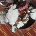 Delores Townsend - Facebook