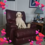 Delores Alexander - @deloresalexander34 - Instagram