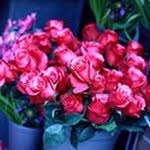 Delores Alexander - @lossie55 - Instagram