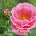 Delores Burch - Facebook
