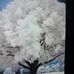 Deloris Butler - Facebook