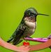 Deloris Clark - Facebook