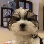 Delores Franklin-Hill - @deloresfranklinhill - Instagram