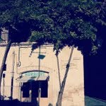 Delores Goodwin - @mcotison - Instagram