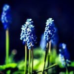 Delores Goodwin - @ludacaredr - Instagram