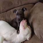 Delores Greene - @delores.greene.754 - Instagram