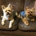 Deloris Harris - Facebook