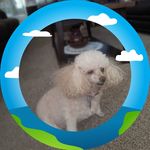Deloris Johnson - @djwj333 - Instagram